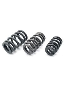 Enkele veren (x16) versterkt door Klep Ferrea HONDA S2000 2.0 16V V-Tec F20C