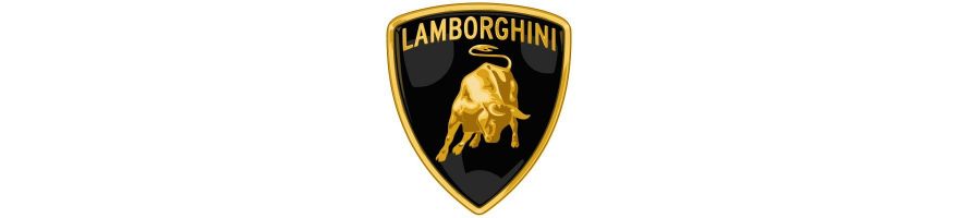 LAMBORGHINI - Kit durites de frein aviation