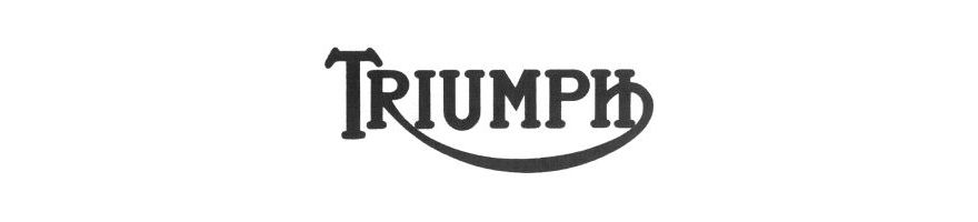 TRIUMPH - Kit durites de frein aviation