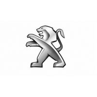 PEUGEOT - Silicone air hose kit