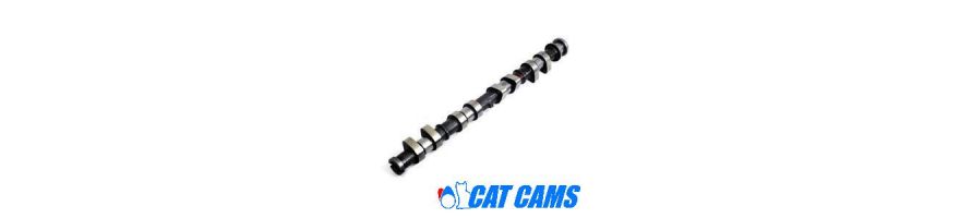 BY REFERENCE CATCAMS - Camshafts
