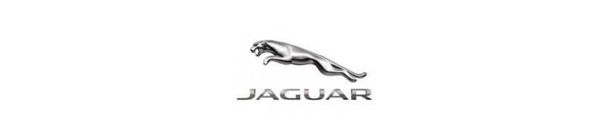 JAGUAR - Short springs