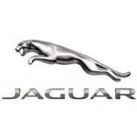 JAGUAR - Short springs