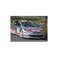 PEUGEOT 206 - Muelles de bajada