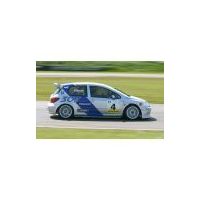 PEUGEOT 307 - Muelles de bajada