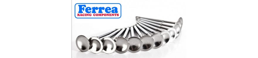 FERREA-REFERENZ - Verstärkte Ventile FERREA-REFERENZ - Verstärkte Ventile