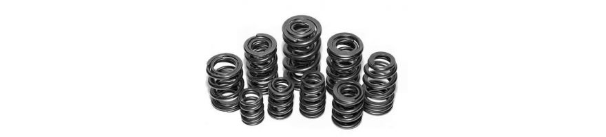 BY REFERENCE CATCAMS - Reinforced Valve Springs