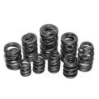 BY REFERENCE CATCAMS - Reinforced Valve Springs