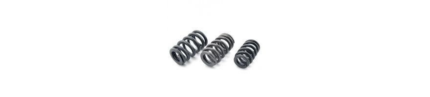BY REFERENCE FERREA - Reinforced valve springs