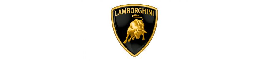 PIÈCES MOTEUR LAMBORGHINI