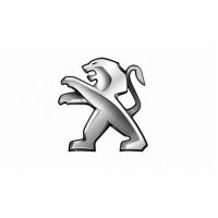 PEUGEOT - Silicone water hose kit