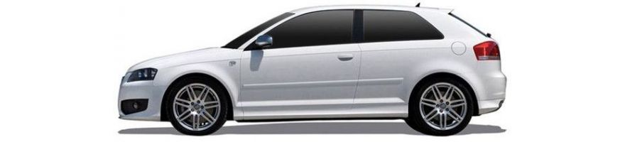 Audi A3 S3 RS3 8P
