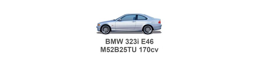 BMW 323i E46 170cv M52B25TU (double vanos) 1998-2000
