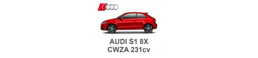 AUDI S1 2.0 TFSI 231 PS CWZA 2014-2018