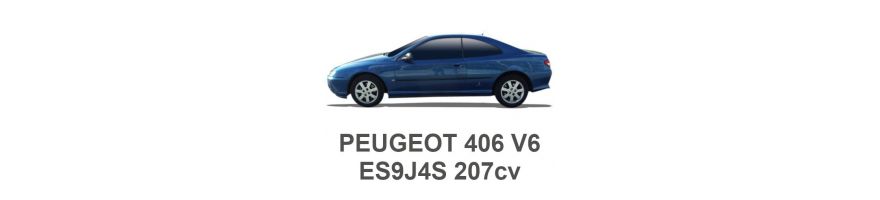 PEUGEOT 406 V6 207hp ES9J4S 2000-2004 PEUGEOT 406 V6 207hp ES9J4S 2000-2004