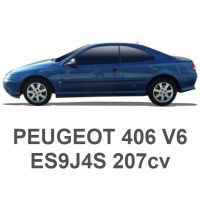 PEUGEOT 406 V6 207 pk ES9J4S 2000-2004