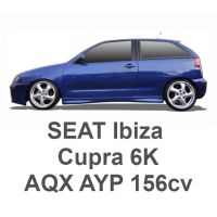 SEAT Ibiza Cupra 6K 1.8T 156cv AQX AYP 2000-2002