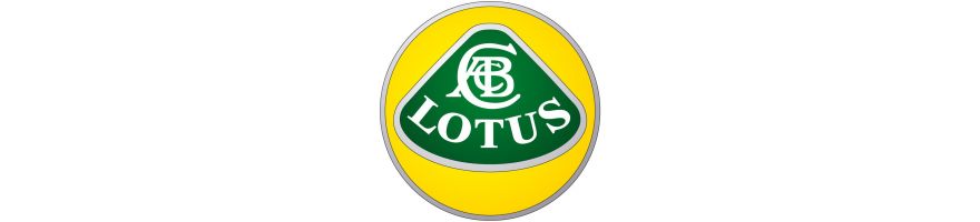 LOTUS - Amortisseurs Combinés filetés