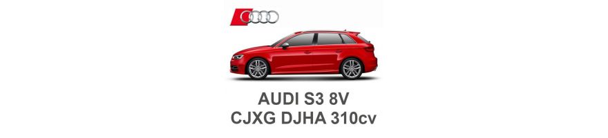 AUDI S3 8V 2.0 TFSI 310hp CJXG DJHA 2016-2020
