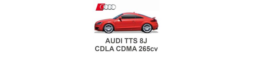 AUDI TTS 8J 2.0 TFSI 265cv CDLA CDMA 2008-2014