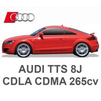 AUDI TTS 8J 2.0 TFSI 265cv CDLA CDMA 2008-2014