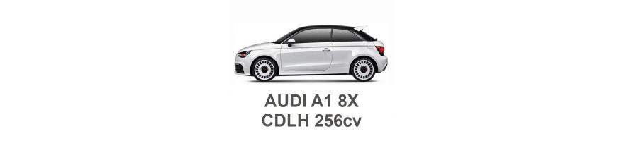 AUDI A1 Quattro 2.0 TFSI 256cv CDLH 2012