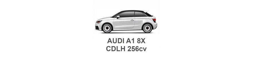 AUDI A1 2.0 TFSI 256cv CDLH 2012