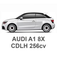 Audi A1 Quattro 2.0 TFSI 256 CV CDLH 2012