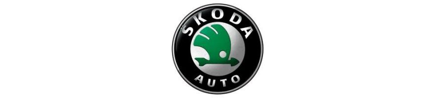 SKODA - Remslangenset voor de luchtvaart