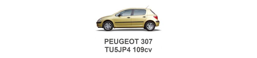 PEUGEOT 307 1.6 16V 109hp TU5JP4 2000-2009