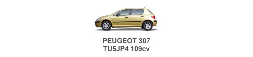 PEUGEOT 307 1.6 16V 109cv TU5JP4 2000-2009