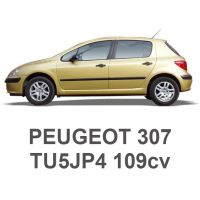 PEUGEOT 307 1.6 16V 109pk TU5JP4 2000-2009