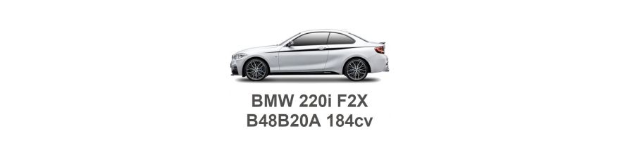 BMW 220i F22/F87 184cv B48B20A 2015-2021