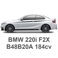 BMW 220i F22/F87 184cv B48B20A 2015-2021