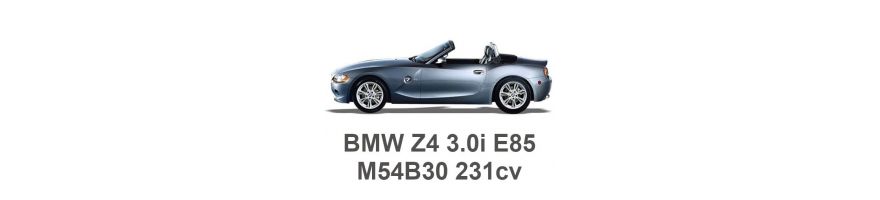 BMW Z4 3.0i E85 231cv M54B30 2002-2005