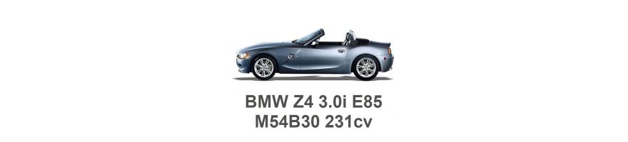 BMW Z4 3.0i E85 231 CV M54B30 2002-2005