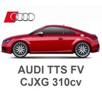 AUDI TTS FV 2.0 TFSI 310cv CJXG 2014-