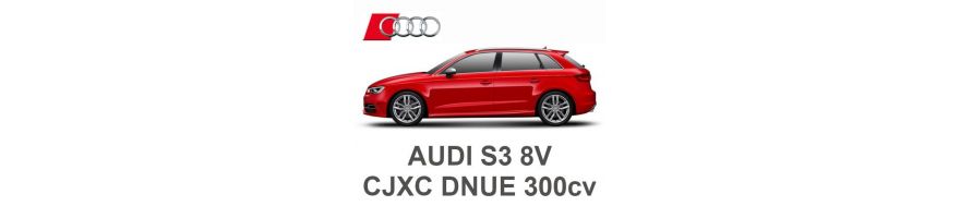 AUDI S3 8V 2.0 TFSI 300cv CJXC DNUE 2012-2020 AUDI S3 8V 2.0 TFSI 300cv CJXC DNUE 2012-2020