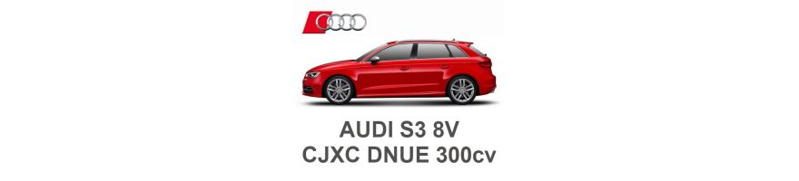 AUDI S3 8V 2.0 TFSI 300cv CJXC DNUE 2012-2020