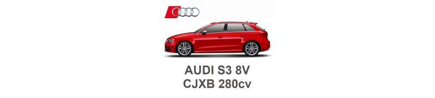 AUDI S3 8V 2.0 TFSI 280 PS CJXB 2013-2016 AUDI S3 8V 2.0 TFSI 280 PS CJXB 2013-2016
