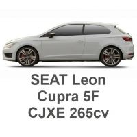 SEAT Leon CUPRA 5F 2.0 TFSI 265CV CJXE 2013-2020