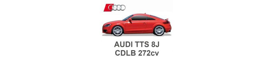AUDI TTS 8J 2.0 TFSI 272 PS CDLB 2008-2014 AUDI TTS 8J 2.0 TFSI 272 PS CDLB 2008-2014