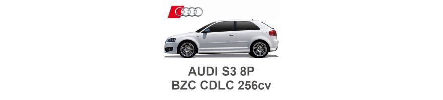 AUDI S3 8P 2.0 TFSI 256pk BZC CDLC 2007-2012 AUDI S3 8P 2.0 TFSI 256pk BZC CDLC 2007-2012