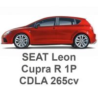 SEAT Leon 1P Cupra R 2.0 TFSI 265cv CDLA 2009-2012