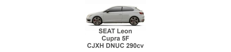 SEAT LeÌ_n Cupra 5F 2.0 TFSI 290cv CJXH DNUC 2015-2020