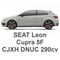SEAT Leon Cupra 5F 2.0 TFSI 290cv CJXH DNUC 2015-2020