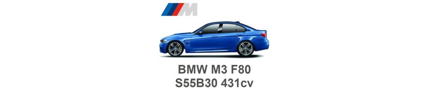 BMW M3 F80 431CV S55B30 2014-2018 BMW M3 F80 431CV S55B30 2014-2018