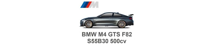 BMW M4 GTS F82 500CV S55B30 2016-2017