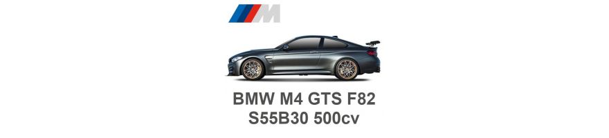 BMW M4 GTS F82 500 CV S55B30 2016-2017