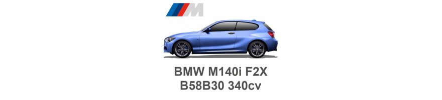 BMW M140i F20/F21 340 CV B58B30 2015-